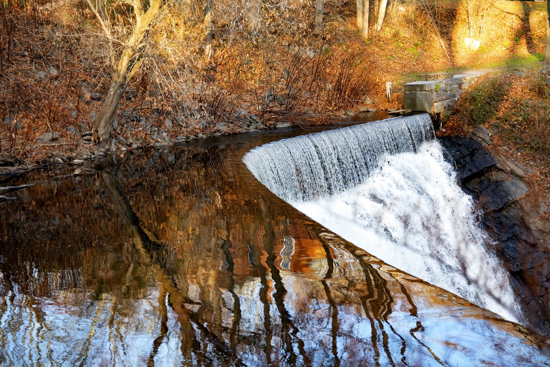 Norwich Property Management